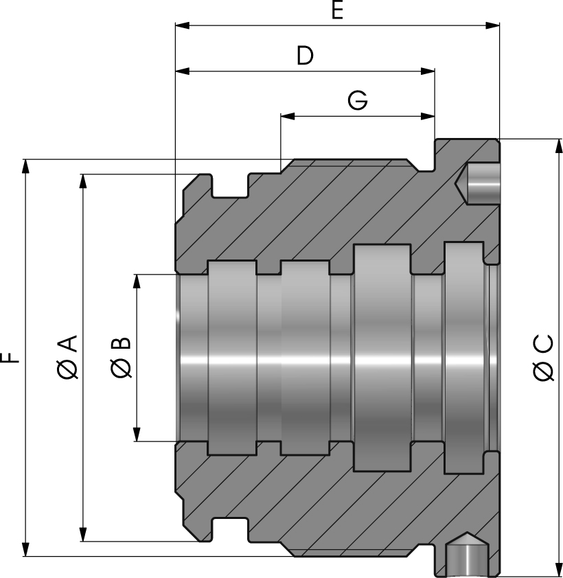 TESTATA